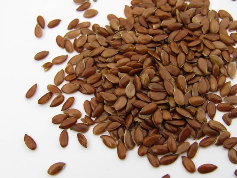 Flax Seed ingredient