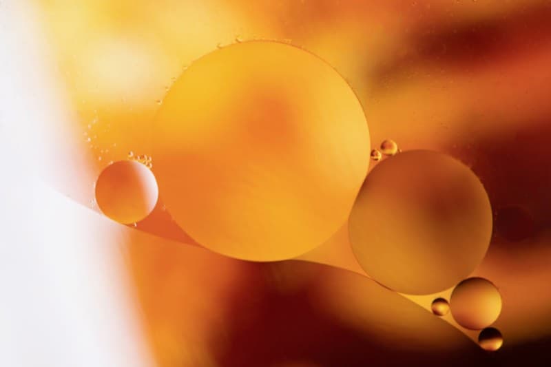Jojoba ingredient