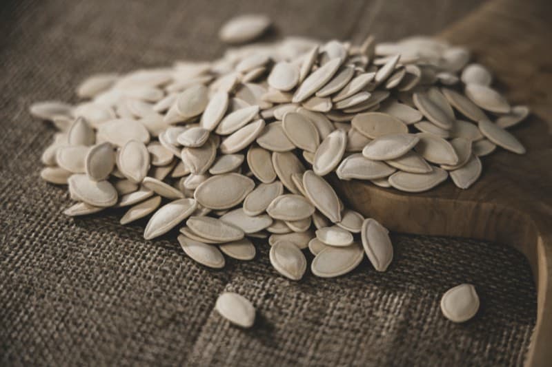 Pumpkin Seed ingredient